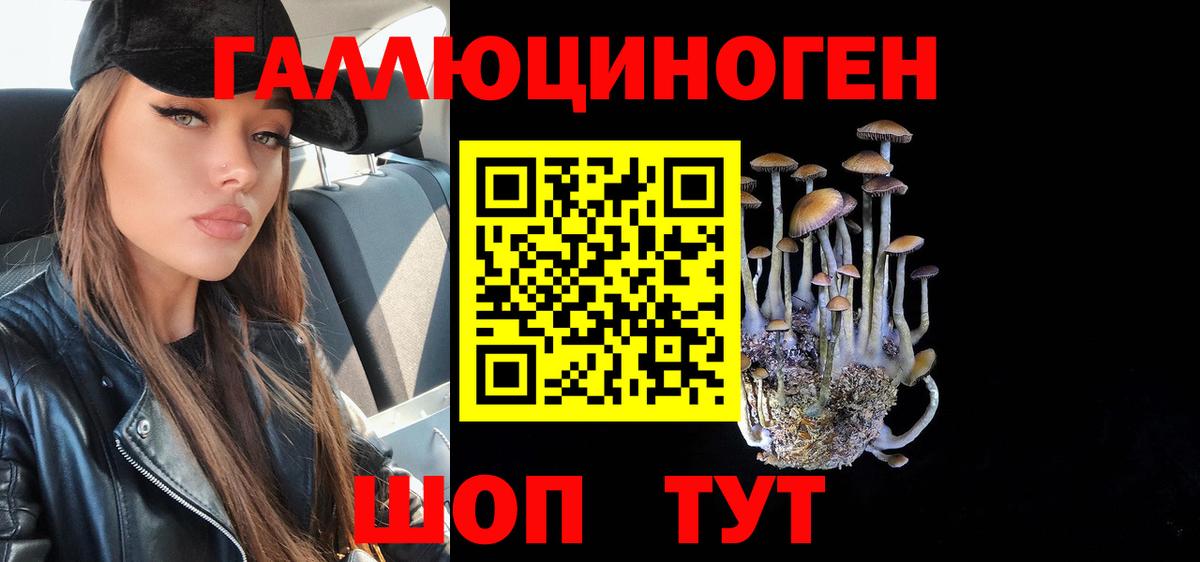 Псилоцибиновые грибы Psilocybe  Псилоцибиновые грибы Psilocybe  Вход с VPN  Шадринск 